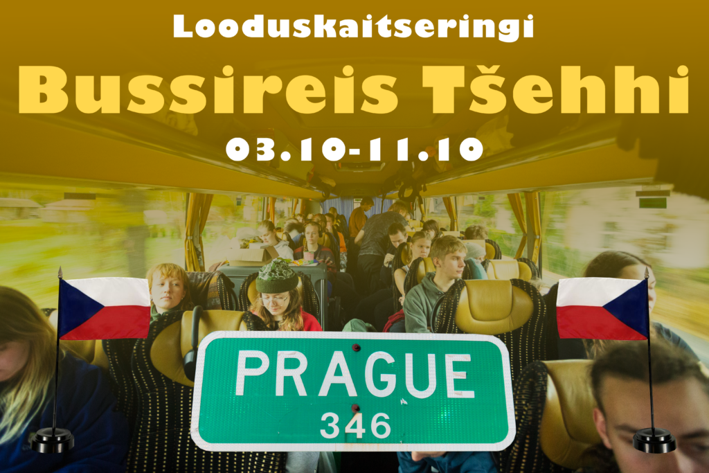 Bussiräis